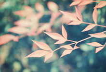 [阿里云盘]2025最新电影资源分享[免费在线观看][夸克网盘]