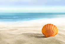 阿里云盘书籍教程资源合集[免费在线观看][免费下载][网盘资源][教程合集]