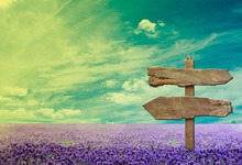 欧美电影【国英双语.国语配音】【系列合集】6.4T：阿里云盘网国语电影资源大合集，国英双语影视资源分享，阿里云盘网[免费在线观看][夸克网盘]